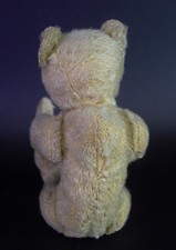 entzückender uralter STEIFF Teddy Bär - Buckel, Spitznase, Knopf mit langem F
