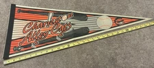 Charleston Alley Cats West Virginia Minor League Baseball Pennant Please Read