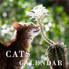 2027 Wall Calendar, 12x12 Large Wall Calendar, Jan 2027 - Dec 2027 12" x 12"