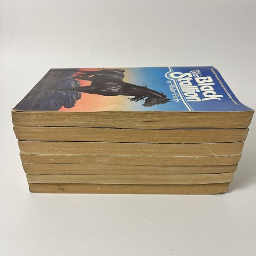 BLACK STALLION LOT of 7 Vintage Books By Walter Steven Farley - Foto 5 di 6