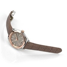 OMEGA Seamaster Aqua Terra 150M 220.23.34.20.06.001 SW12669 3