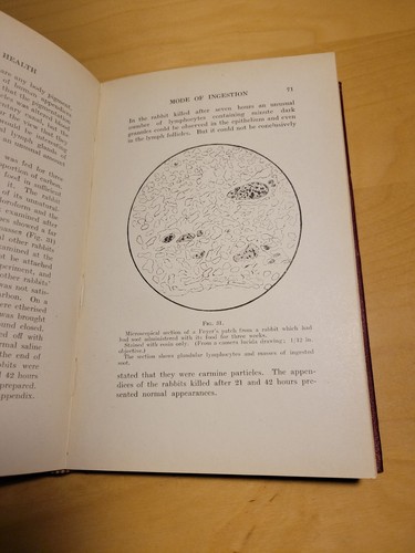 Immunity In Health By Kenelm H. Digby 1919 Oxford Medical Publications - Picture 14 of 16