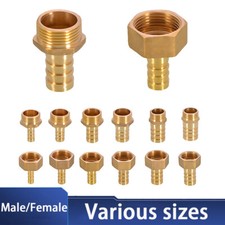 BSP Brass Male/Female Thread Fitting x Barb Hose Tail End Connector 1/8" to 2"