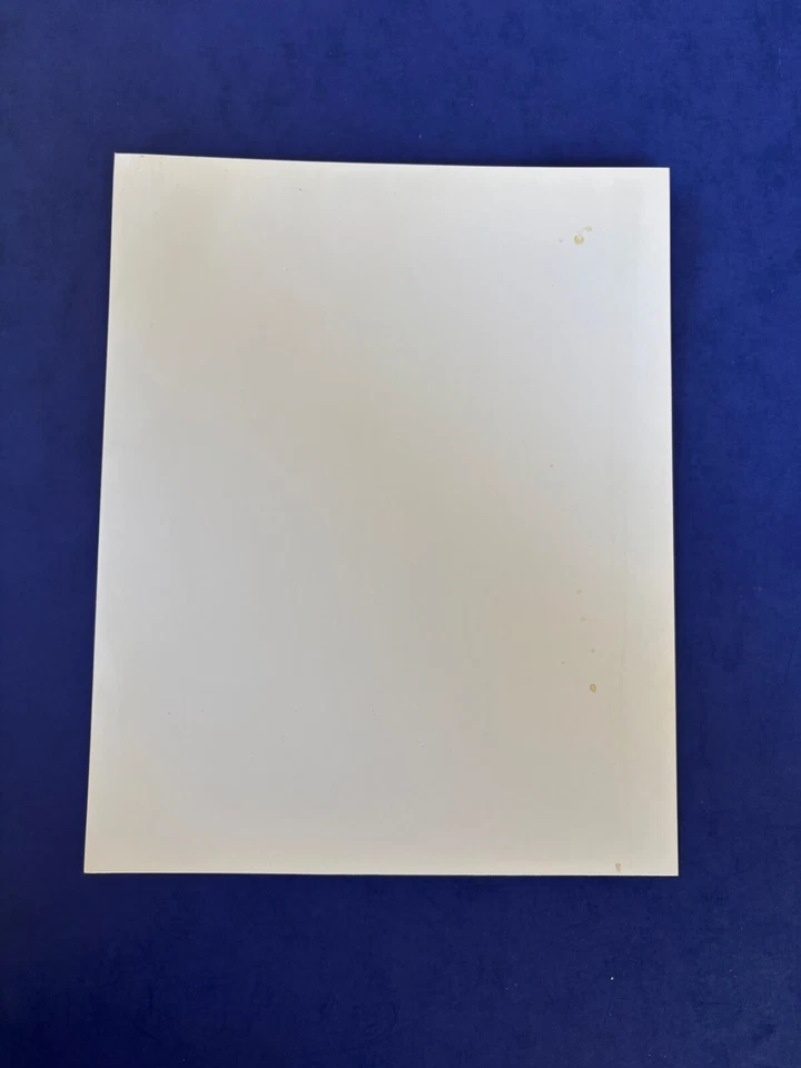 Kim Perrot 8x10 color photo 3x champion 1997 1st WNBA season - Image 2 of 2