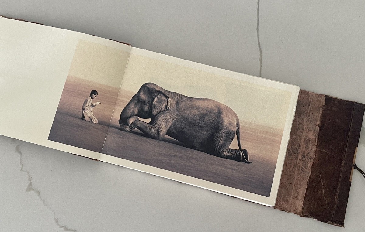洋書 ashes and snow by Gregory Colbert 2007 Ashes and Snow Gregory Colbert New York Exhibition Book