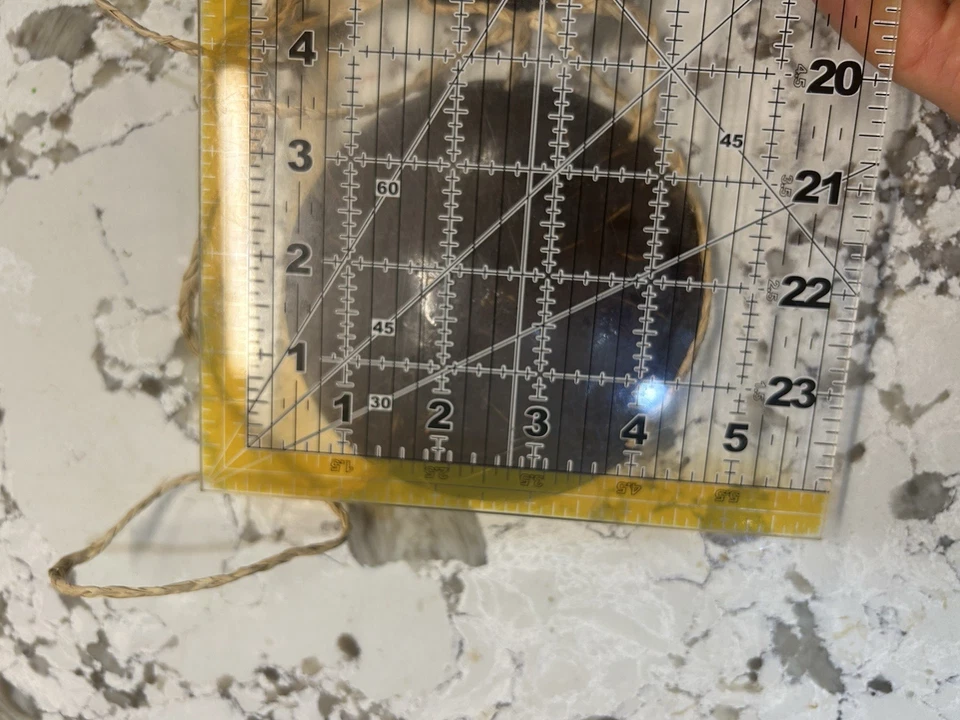 Sujetador de Colección con Cáscara de Coco y Cordel Top Hawaiano Luau Conjunto Disfraz Fiesta Foto 3 de 3