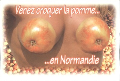 Humorvolle Normandie Frankreich Postkarte Venez Croquer La Pomme Erotik gewagter Apfel