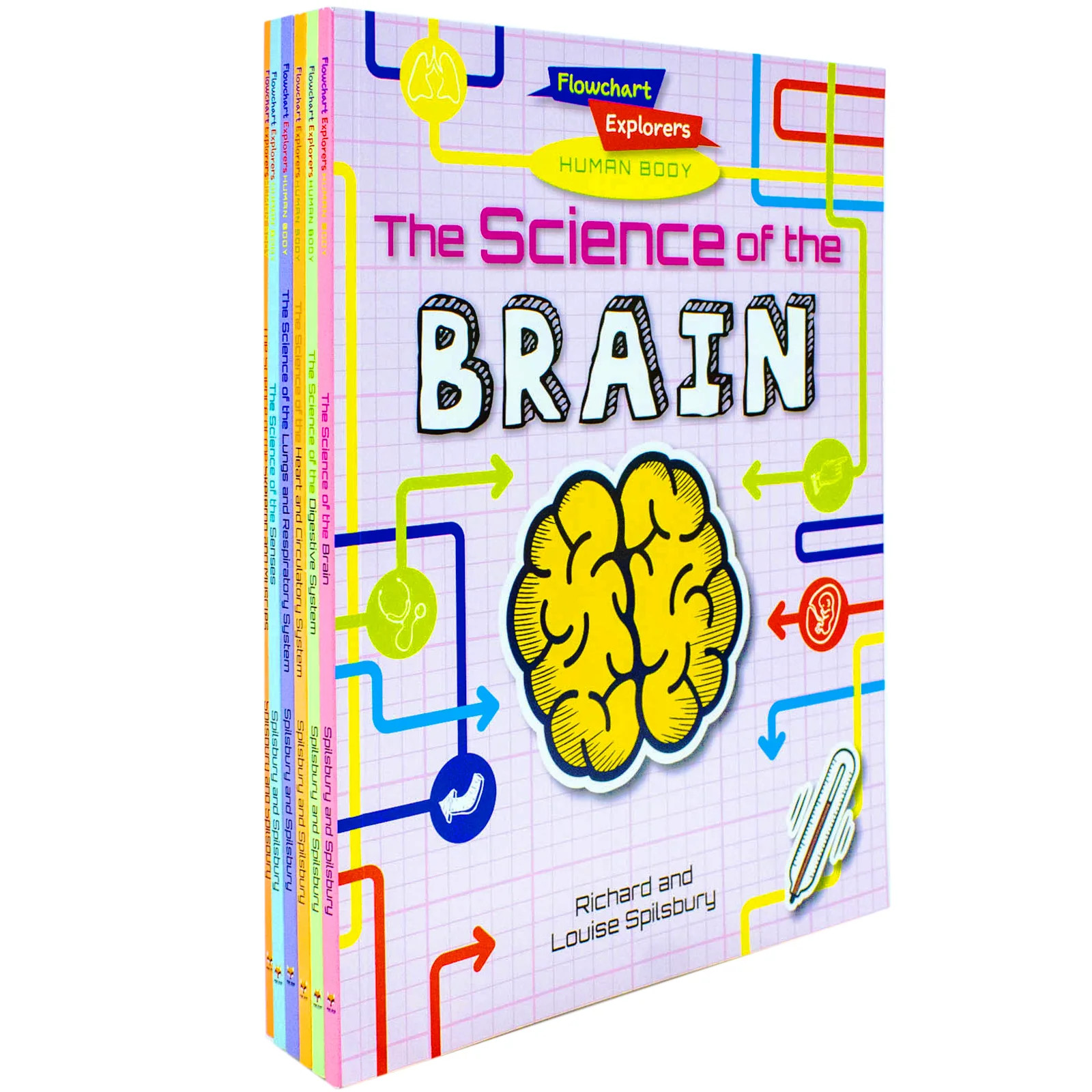 Flowchart Explorers Human Body STEM 6 Science Books Set: (Brain, Digestive, Heart, Lungs, Senses, Skeleton) - Image 7
