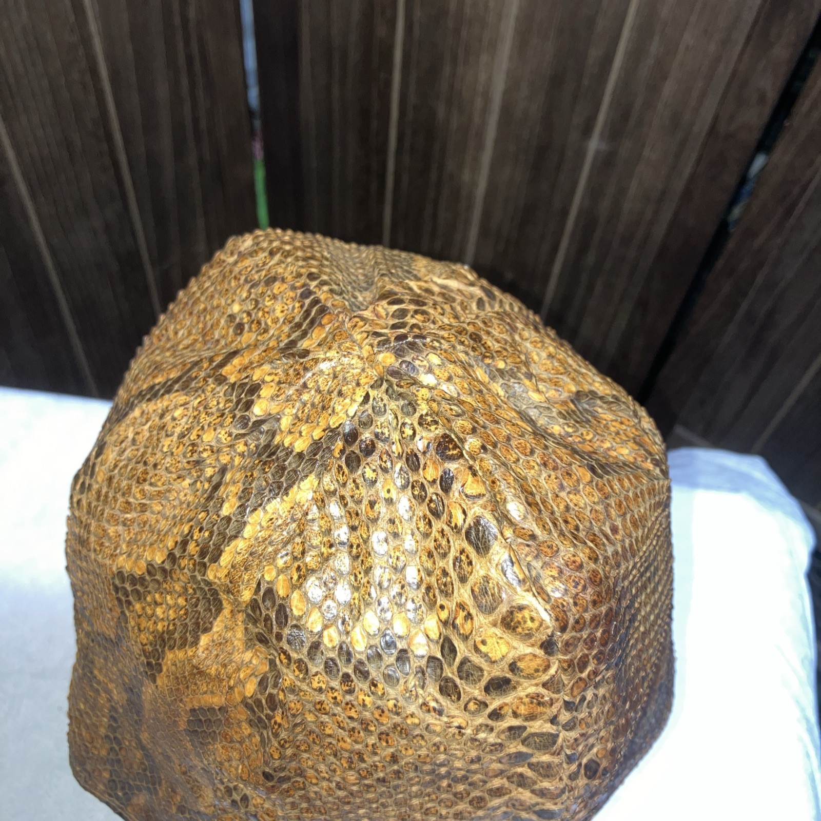 Genuine Python Snakeskin Baseball Cap With Sewn I… - image 5