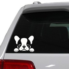 Cute Boston Terrier Decal - Car Window Vinyl Sticker Matte White - Peels Corner