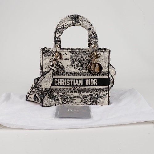 Dior Lady Di Light Medium Tote Shoulder Bag M0565ORHZ 155073161