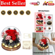 Preserved Roses in Glass Dome with LED Light - Long Lasting Real Flowers, For...