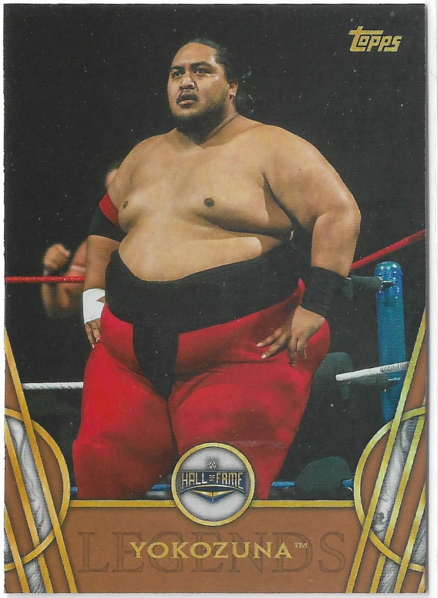 Yokozuna Trading Cards for sale | eBay
