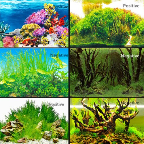 1x 3D Fish Tank Background HD Aquarium Wallpaper Sticker Double Sided Underwater - Picture 1 of 13