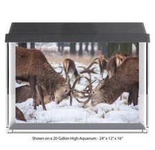 Deer Bucks Fighting Polyester Fish Tank Glass Back Drop Aquarium Background New