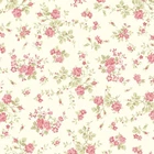 1 yd cut CHARLOTTE from Clothworks - item #Y4614-2