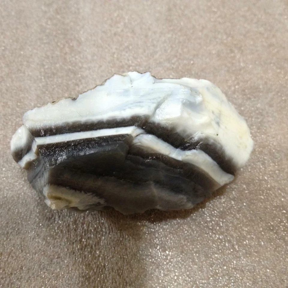 罕见 Striking 466.9 克拉 100% 天然埃塞俄比亚白线蛋白石粗糙 & 添加礼物 — 第 3/4 张图片