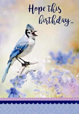 Happy Birthday Marvelous Works Bluejay Christian Religious Greeting Card
