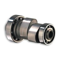 Malossi Nockenwelle Power Cam FüR Honda Fes 250 Foresight Nss Jazz