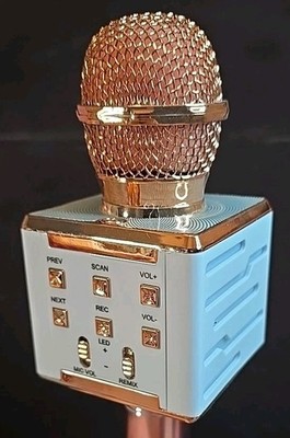 Perfect Pitch DS868 Wireless Karaoke Microphone and Recorder Rose Gold