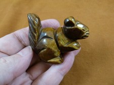 Y-SQU-723) petite figurine marron oeil de tigre écureuil sculpture pierres précieuses écureuils
