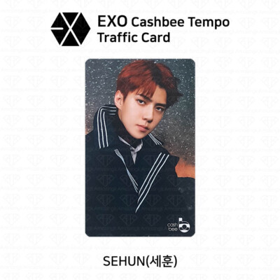 EXO Don't Mess Up My Tempo Official Cashbee Transportation Card