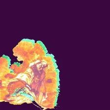 WATER FROM YOUR EYES SOMEBODY ELSE'S SONG NEW LP