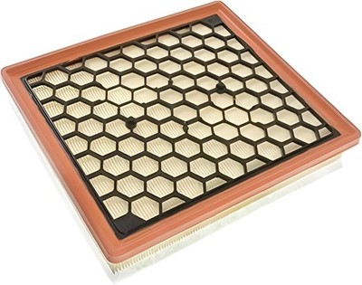 Blue Print ADW192202 Air Filter   Vehicle Specific Replacement