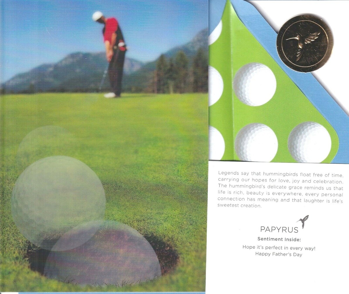 Papyrus Biglietto Festa Del Papà Con Carrello Da Golf: 17,8x12,7 Cm Con Busta - 5