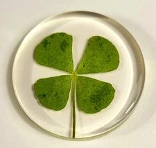 33mm Real Four Leaf Clover in Resin Token St.Patrick's Day "Lucky Leaf" Coin