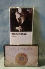 Whitesnake Lot of 2 cassettes Slide it in  Selt title GREAT CONDITIONQ, TESTED
