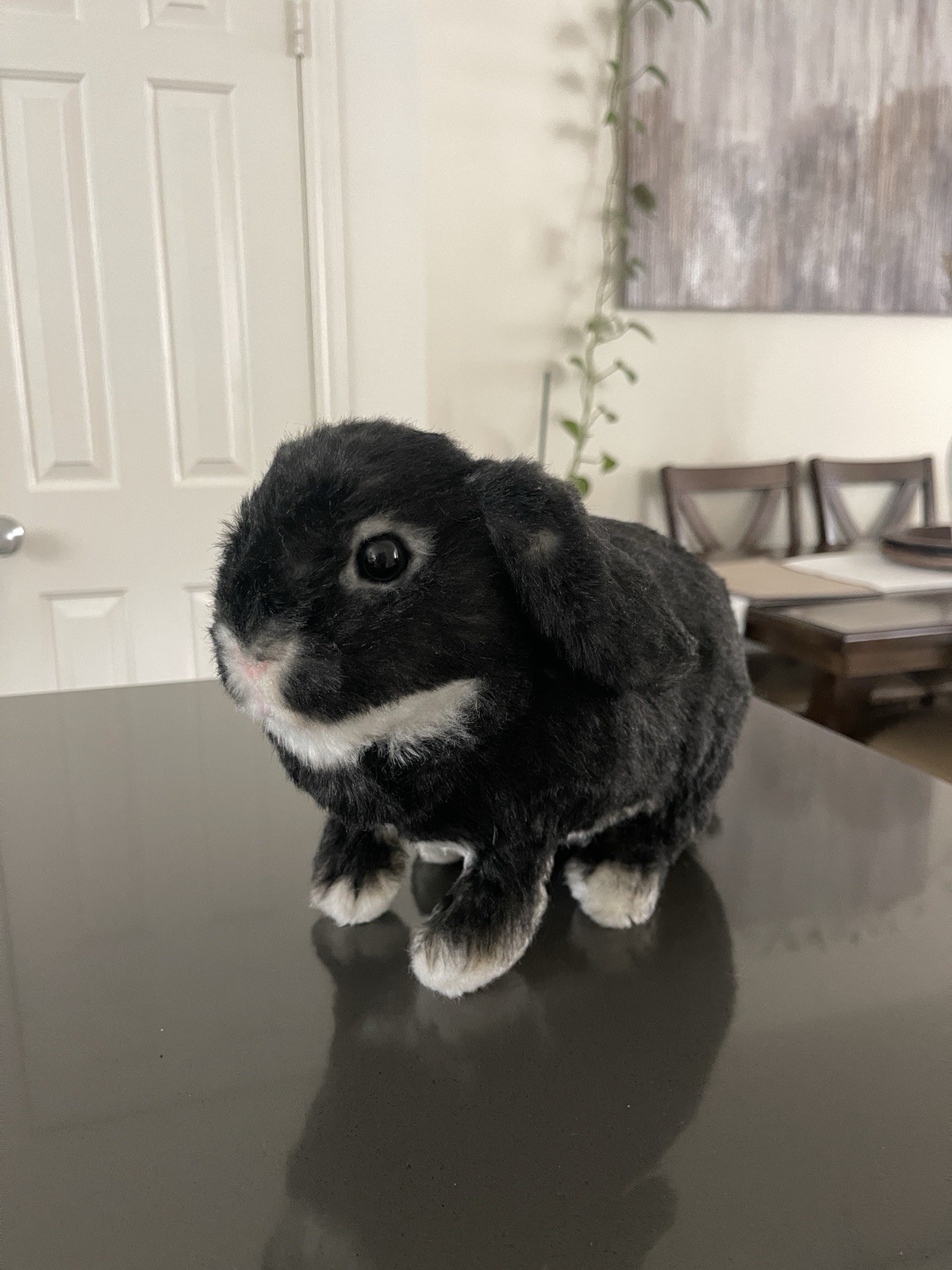 Plush Holland Lop Rabbit