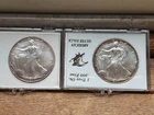 2000 & 2001 Rainbow Toned Silver Eagles 1 oz - 2 oz. Total