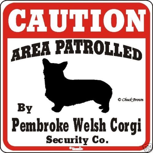 Pembroke Welsh Corgi  Dog Caution - Picture 1 of 1