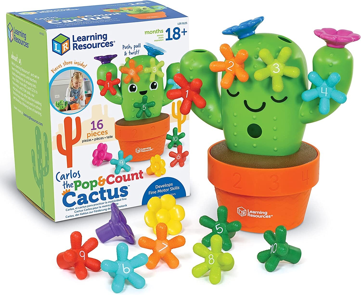 Educational Toys for 2 3 Year Old Kids Preschool Toddlers Babies Learning Cactus