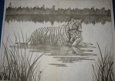 * TRI CHEM 7090 TIGER AND CUB CROSSING THE WATER  Picture TRICHEM