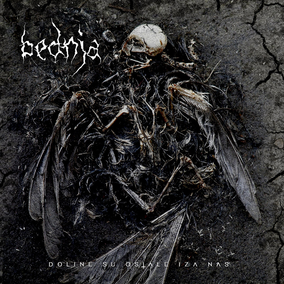 Bednja Doline Su Ostale Iza Nas (CD) Album Digipak