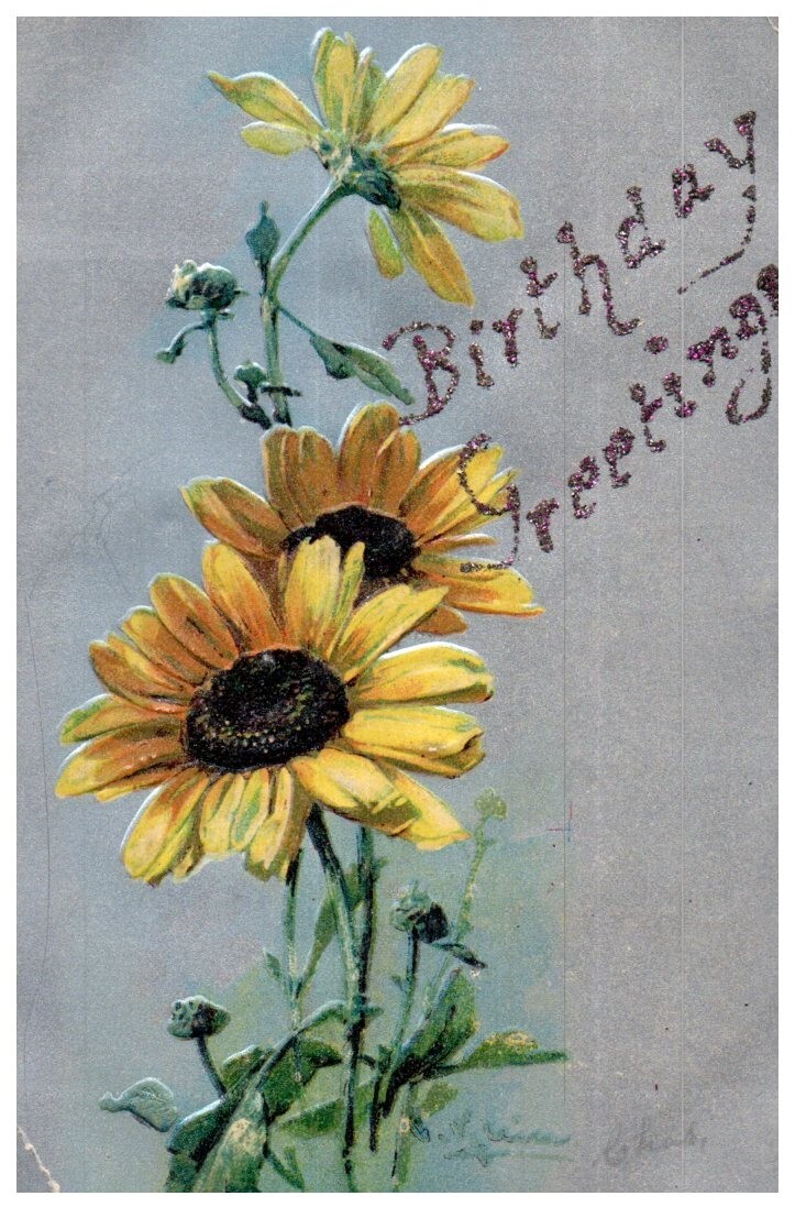 Sonnenblume Geburtstag Grüße Geprägt Blumen Postkarte