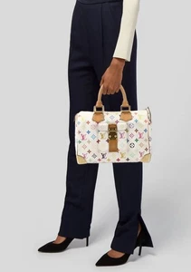 Louis Vuitton Speedy Satchel Multicolor Canvas Handbag