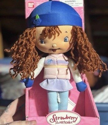 Bandai Berry Soft Friends Blueberry Muffin Ice Skater Scented Cloth Doll 9''