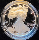 2021-W American Eagle Proof Type 2 Box & COA Bullion-0.999 Silver 1 Oz Art Coin