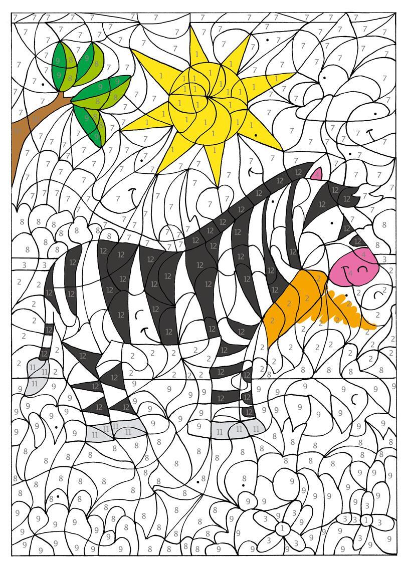 Thumbnail - Malen Nach Zahlen Zoo. Ab 7 Jahren Sandra Schmidt