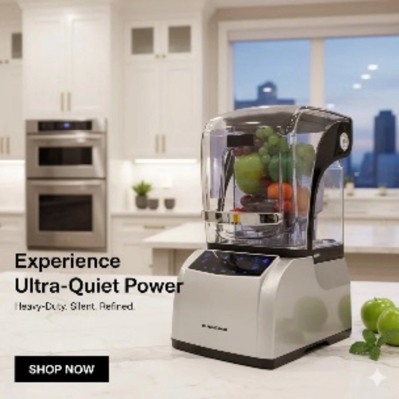 ULTRA HEAVY DUTY SOUNDPROOF COMMERCIAL GRADE BUCHYMIX BLENDER Brand New Sealed