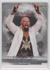 2017 Topps WWE Undisputed Silver 50/50 Luke Gallows #22 9aj