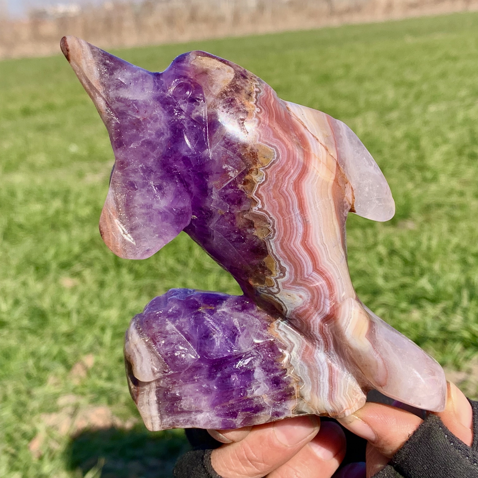 Natural Amethyst Agate Quartz Crystal Dolphin Reiki Healing Stone