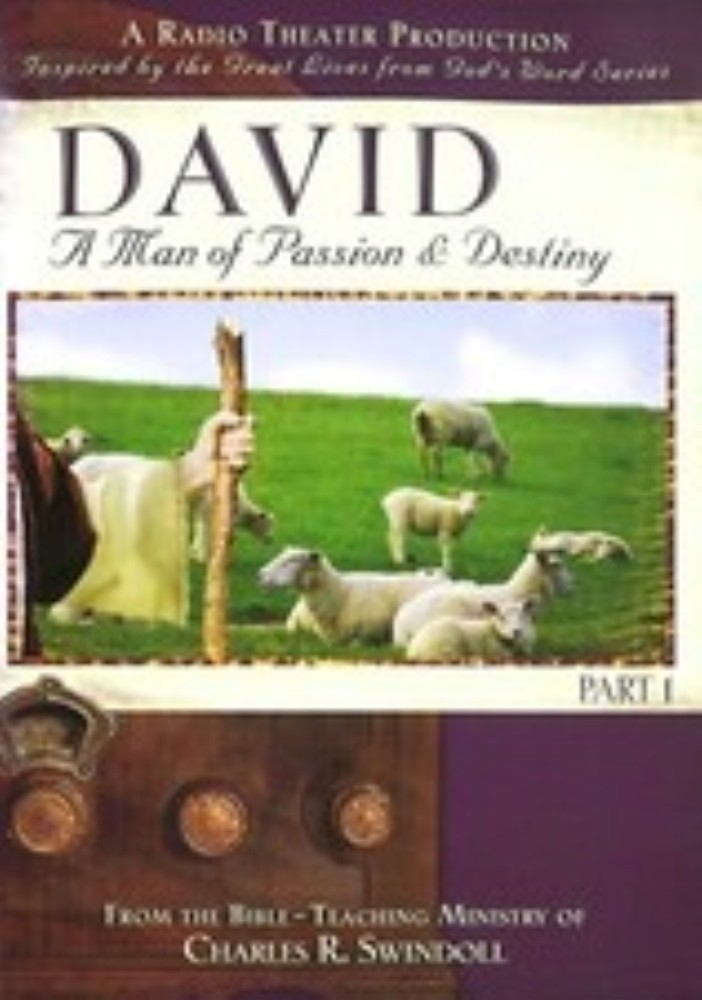 David: A Man of Passion and Destiny DVD FREE SHIPPING