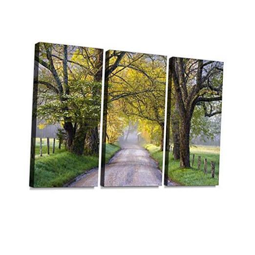 3 Panel Wall Art Modern Artworks for Home Decor Canvas Prints Cades Cove Great