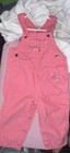 Carhartt Pink Bib Overalls Embroidered Shine Girls 24M Excellent Condition — photo 1