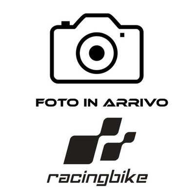 PUIG CUPOLINO NAKED N.G. SPORT PLUS HONDA CB750 HORNET 2023 CARBON LOOK