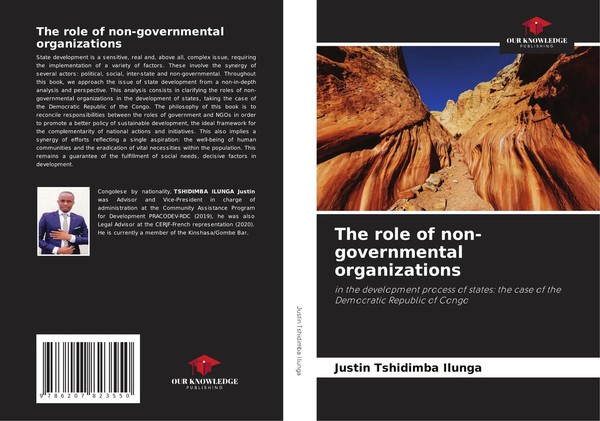 The Role Of Non-Governmental Organizations Justin Tshidimba Ilunga Taschenbuch-image